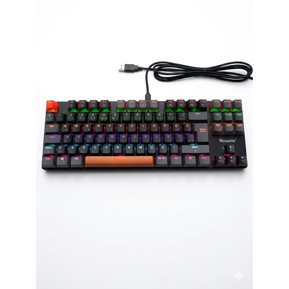 Versatile RGB Blue Switch Mekanik Gaming Usb Klavye