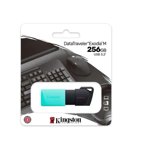 Kingston 256GB USB 3.2 Data Traveler Exodia Usb Flash Disk